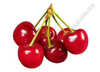 Cherry (Oops! image not found)