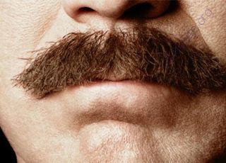 Mustache (Oops! image not found)