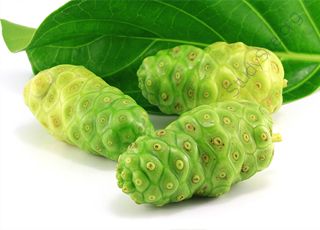 Noni (Oops! image not found)