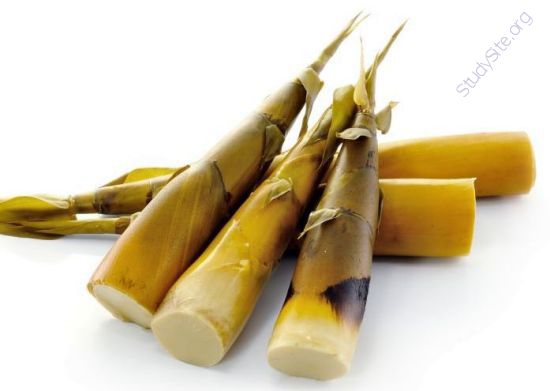 Bamboo-shoot (Oops! image not found)