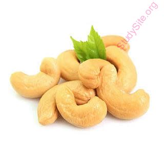 cashew (Oops! image not found)