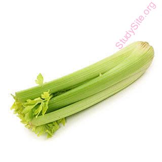 celery (Oops! image not found)