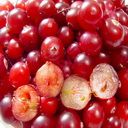 cranberry (Oops! image not found)