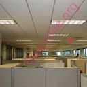 cubicle (Oops! image not found)