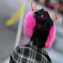 earmuffs (Oops! image not found)