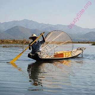 fisherman (Oops! image not found)