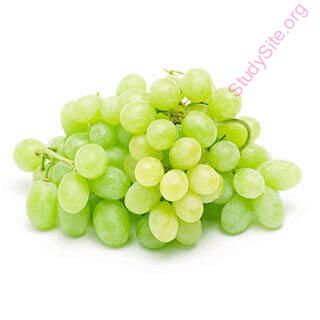 grapes (Oops! image not found)