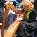 harp (Oops! image not found)