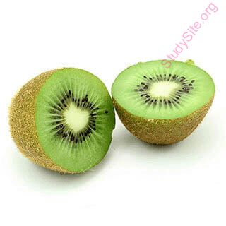 English To Korean Dictionary Meaning Of Kiwi In Korean Is 키위