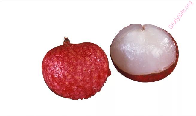 English To Arabic Dictionary Meaning Of Litchi In Arabic Is