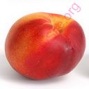 nectarine (Oops! image not found)