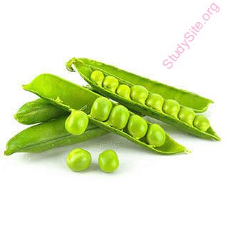 peas (Oops! image not found)