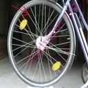 spoke (Oops! image not found)