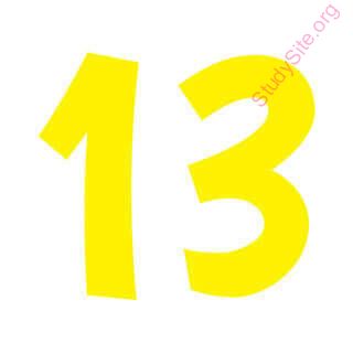 thirteen (Oops! image not found)